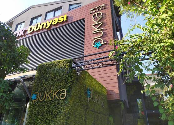 Pukka Hotel 1