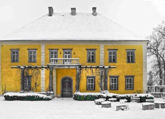 Pałac Lasów 1