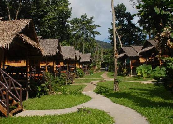 Jungle Garden 1