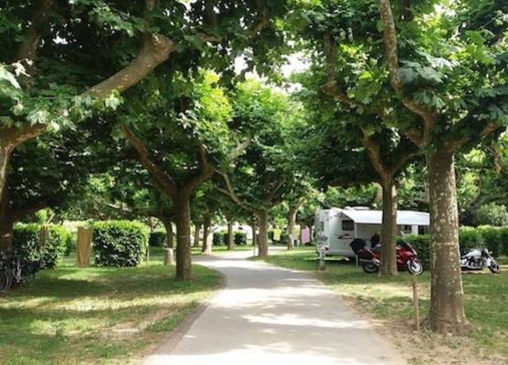 Camping de l'Ardèche 1