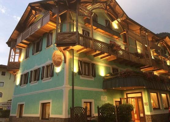 Hotel Alpina 1