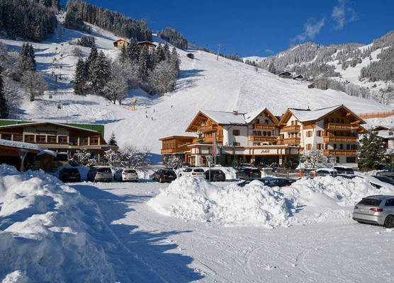 Hotel Auhof 1
