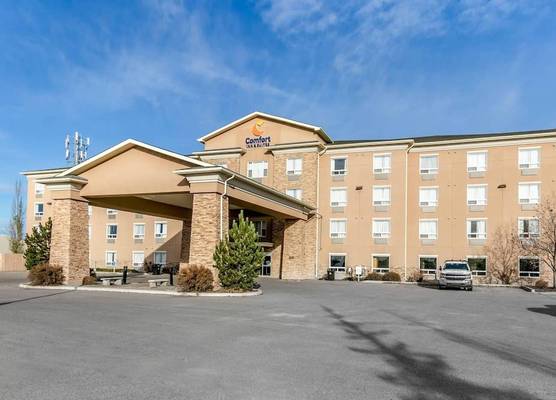 Comfort Inn & Suites 1