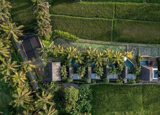 Lasamana Villas Ubud by GenuineHost 1