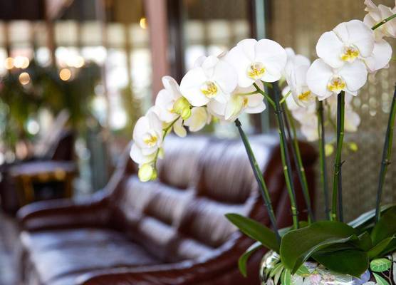 Hotel Garni Geisler 1