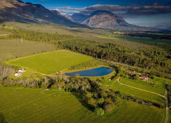 Fraaigelegen Farm - Home of ADHARA EVOO 1