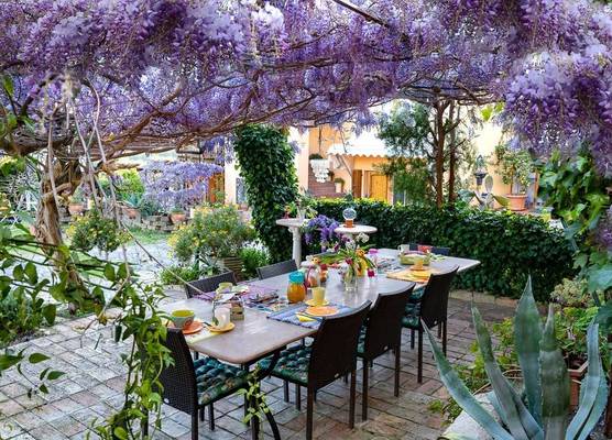B&B Glicine 1