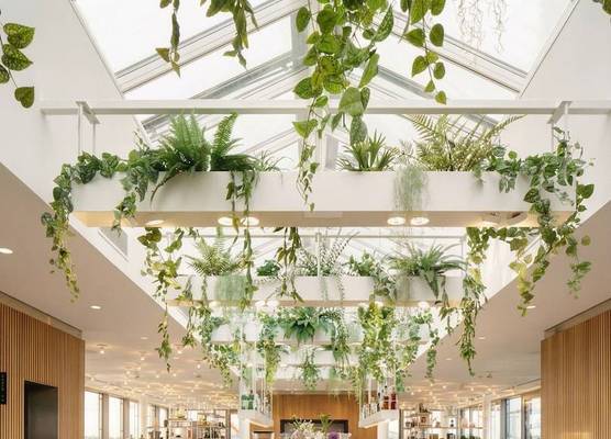 Zoku Vienna 1