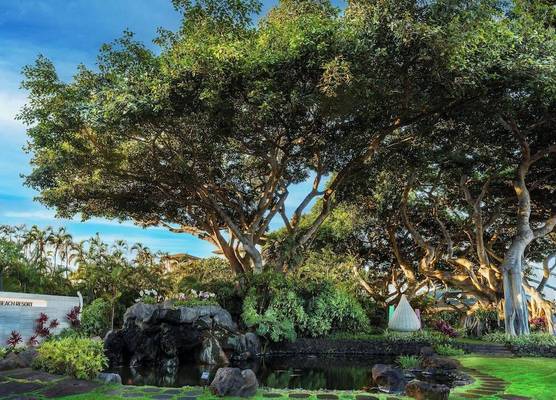 Wailea Beach Resort - Marriott, Maui 1