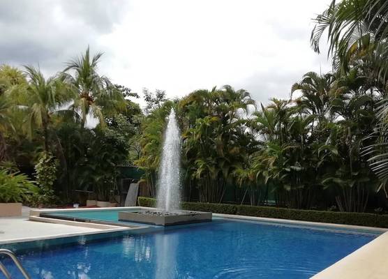 The Palms At Coco Beach 1