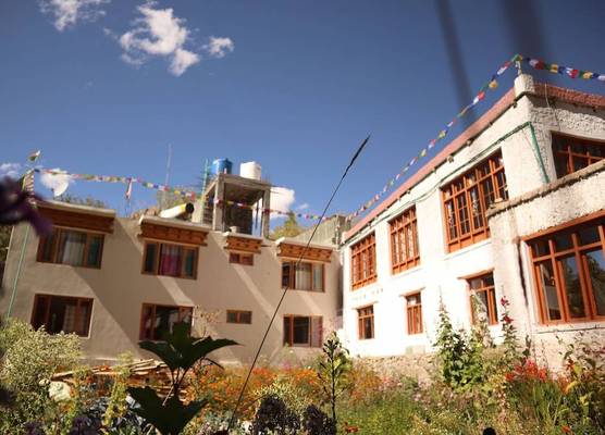 Tsetanguesthouse 1