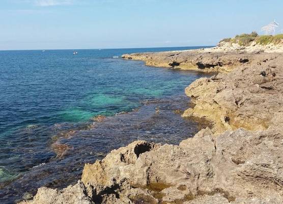 Villa A Due Passi Dal Mare Salento 1
