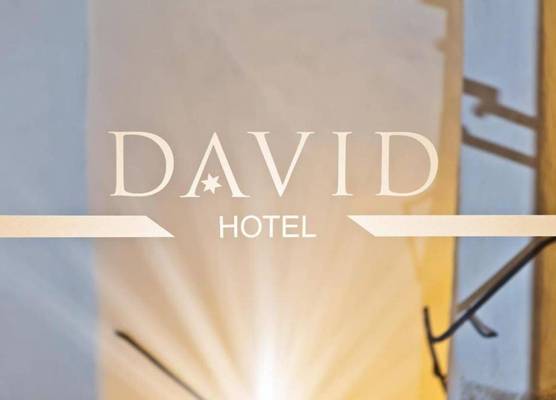 Hotel David an der Donau 1