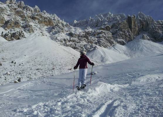 DOLOMITES B&B - Suites, Apartments and SPA 1
