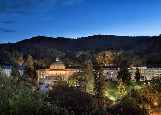 Maritim Hotel Bad Wildungen 1