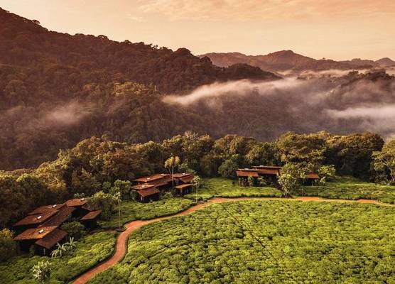 One&Only Nyungwe House 1