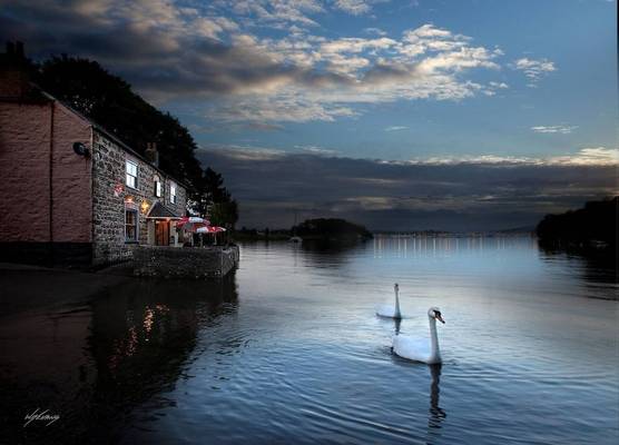 The Wilcove Inn 1