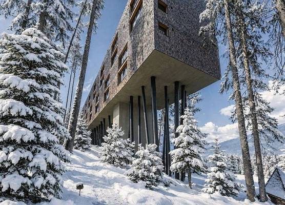 My Arbor - Dolomites 1