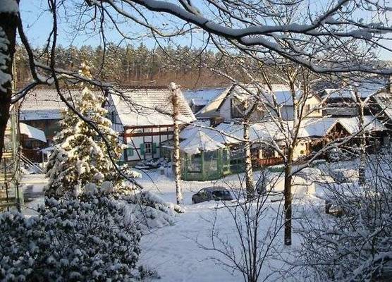 Waldhotel Bächlein 1