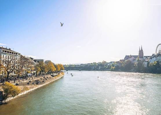 Krafft Basel 1