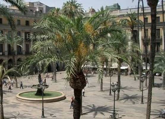 Roma Reial 1