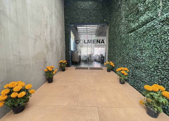 Colmena Hotel CDMX Tonala 1