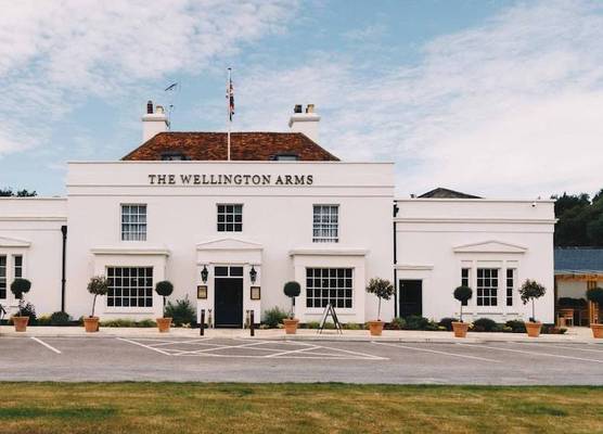 The Wellington Arms - Basingstoke-Reading 1