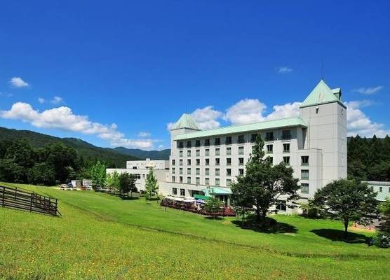 Blue Ridge Hotel 1