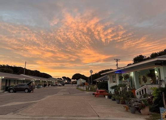 Swell Motel 1