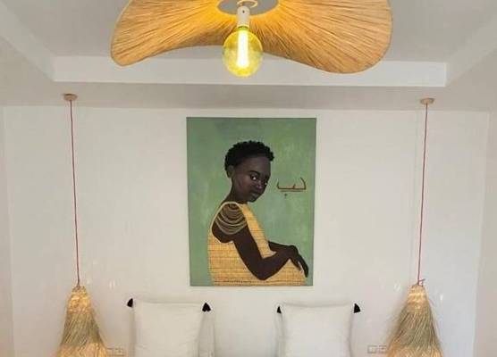 La Villa Sauvage 1