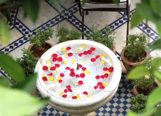 Riad Zouhour 1