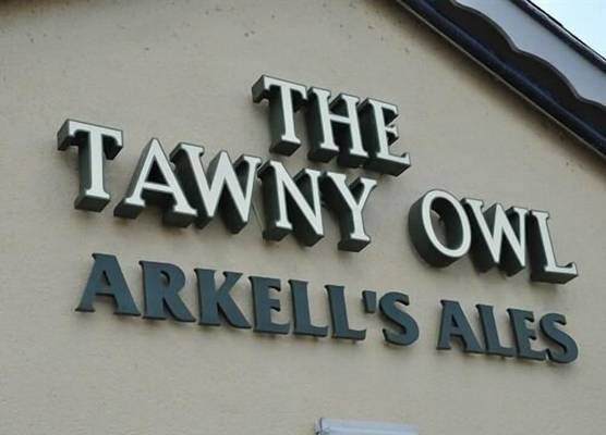 The Tawny Owl 1