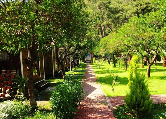 Likya Evleri Olympos 1