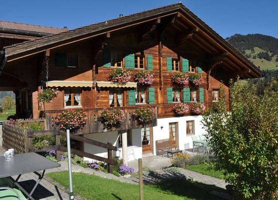 Alpenchalet Weidhaus Gstaad - diverse Wohneinheiten 1