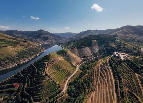 Barrilario Douro Wine Hotel e Spa - Quinta São Jose do Barrilario 1