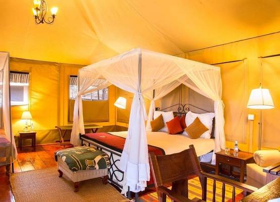Ngorongoro Forest Tented Lodge 1