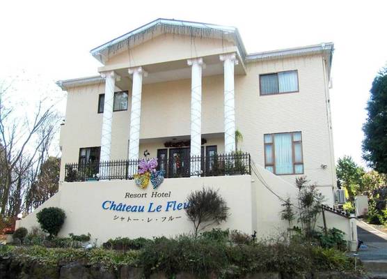 Chateau Le Fleur 1