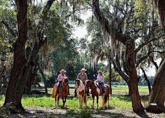 Westgate River Ranch Resort & Rodeo 1