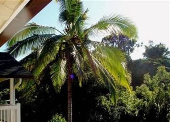 Bamboo Valley Inn 1
