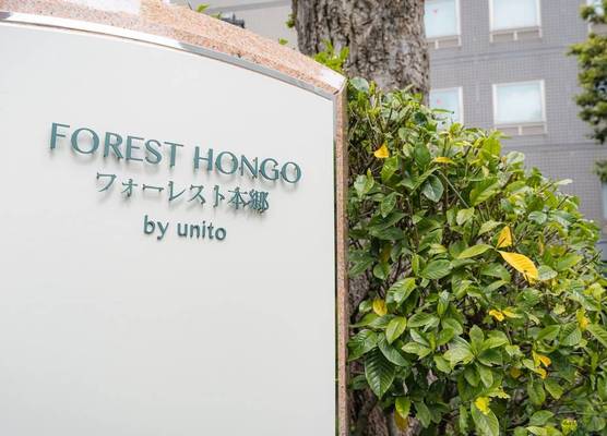 Forest Hongo by unito 1