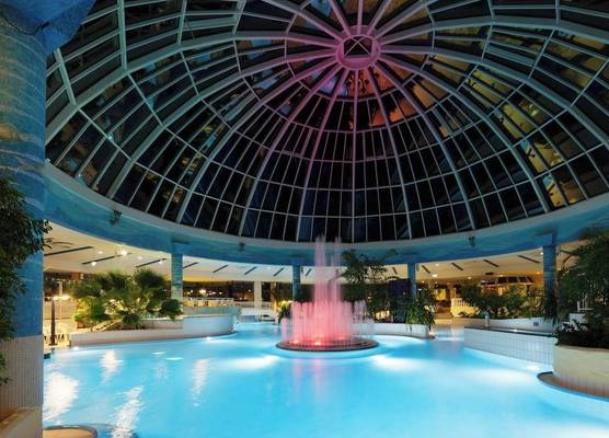 Vital Hotel Rhein Main Therme Wellness Resort & SPA 1
