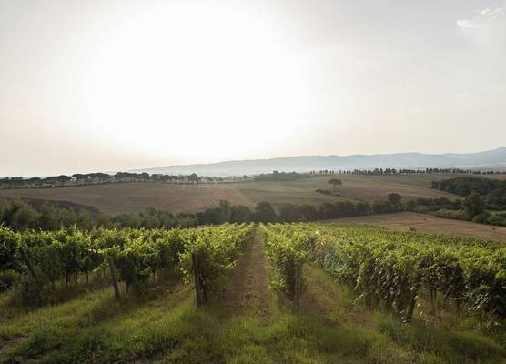 Agriturismo Cappellese 1