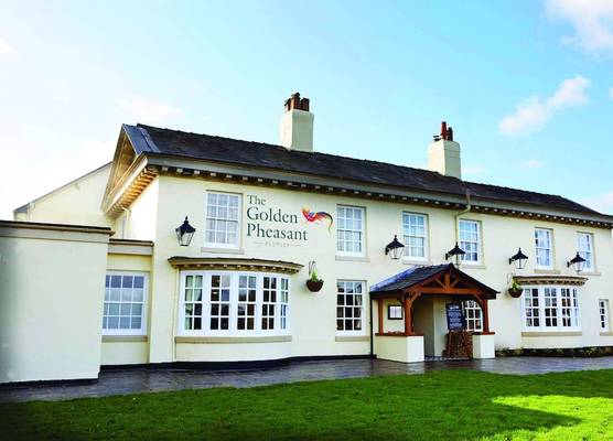 The Golden Pheasant 1