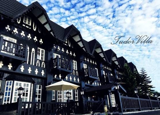 Tudor Dynasty 1