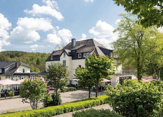 Dorint Parkhotel Siegen 1