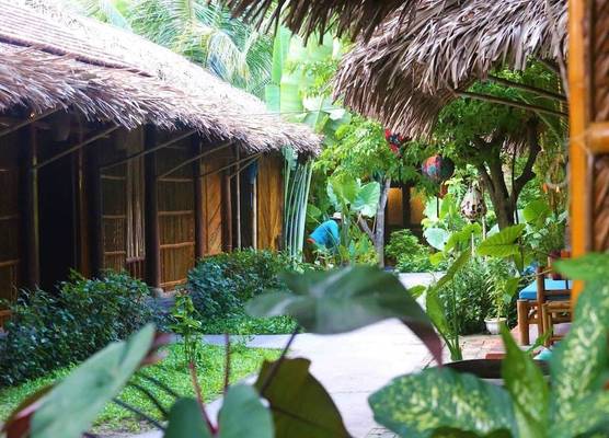Under The Coconut Tree Hoi An 1