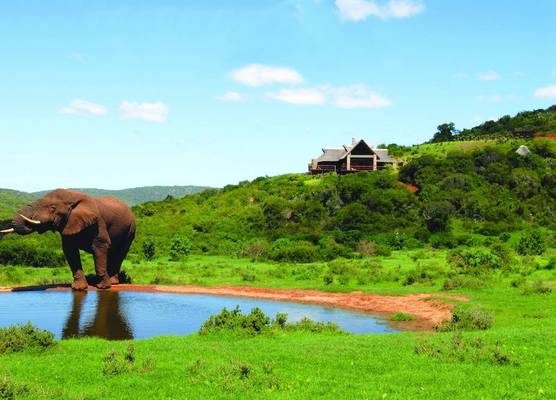 Hopewell Private Game Reserve 1