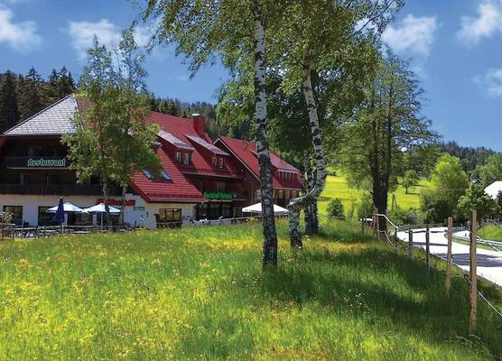Gasthaus Backhof-Helmle 1
