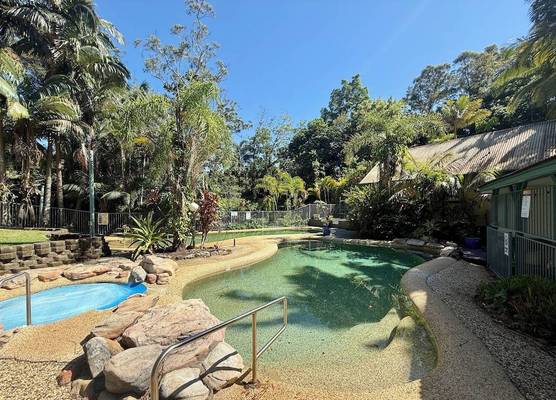 Tropic Oasis by Charlesworth 1