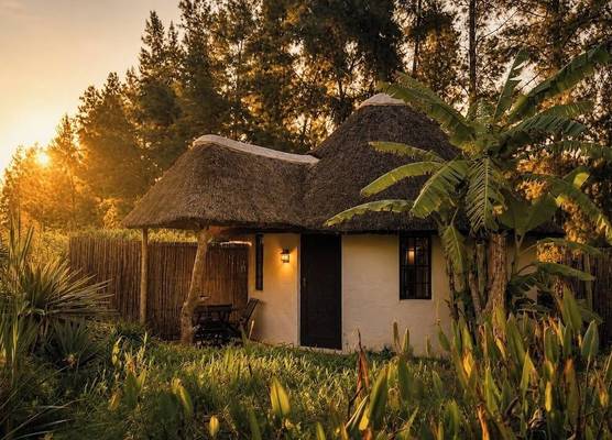 Addo African Home 1